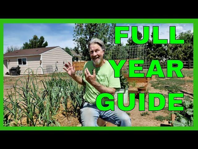 How to Grow Garlic - COMPLETE GUIDE (Planting to Harvest)