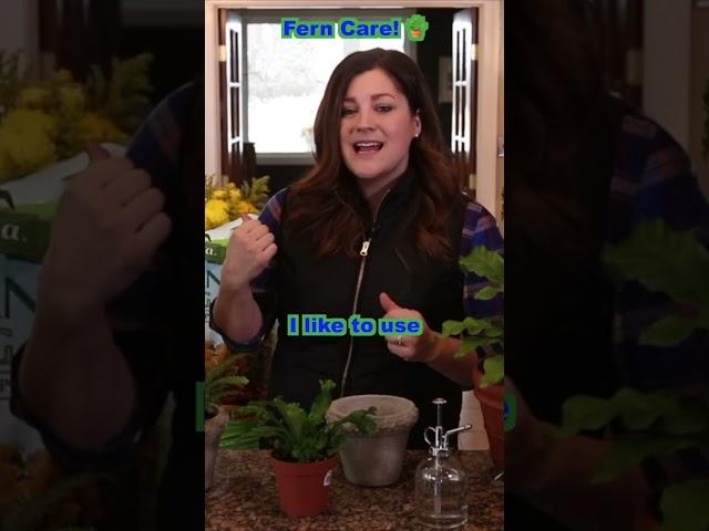 How to Care for Ferns! 🪴 // Garden Answer