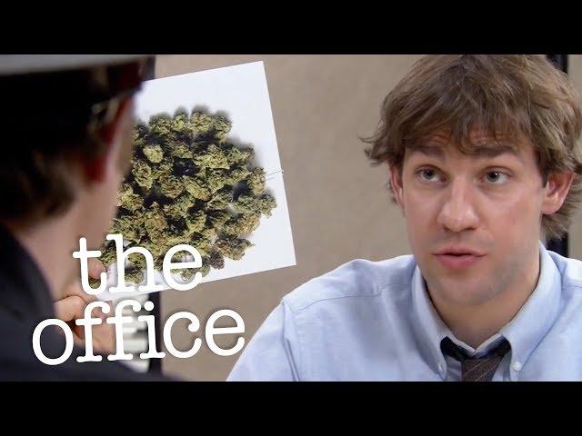 Dwight's Drug Investigation  - The Office US