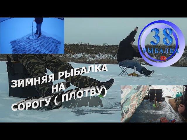 зимняя рыбалка на сорогу ( плотву)