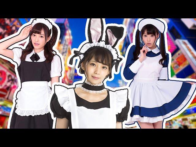 Types Of Maid Cafes In Akihabara | Around Akiba Maid Cafe Tour