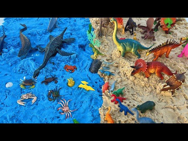 Dinosaurs On The Beach! Water Dinos and Land Dinos | T Rex, Velociraptor, and many more!