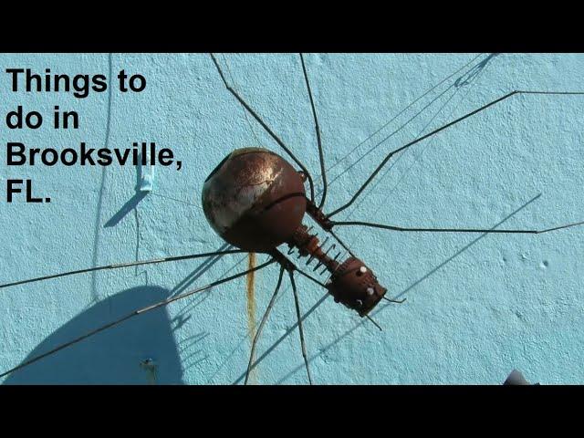 Things to do in Brooksville, Florida