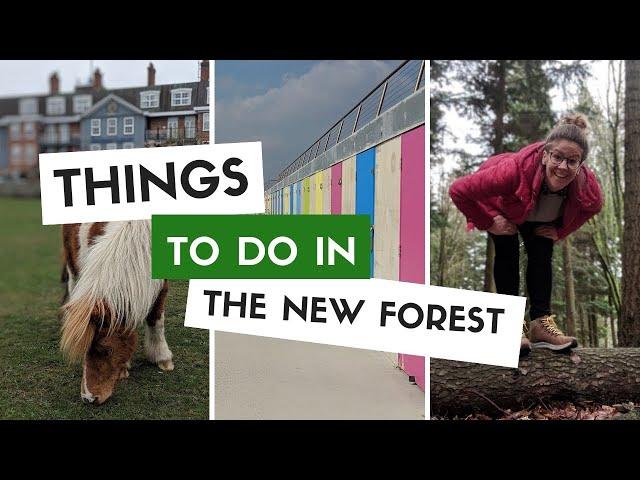 What to Do on a Weekend in the New Forest