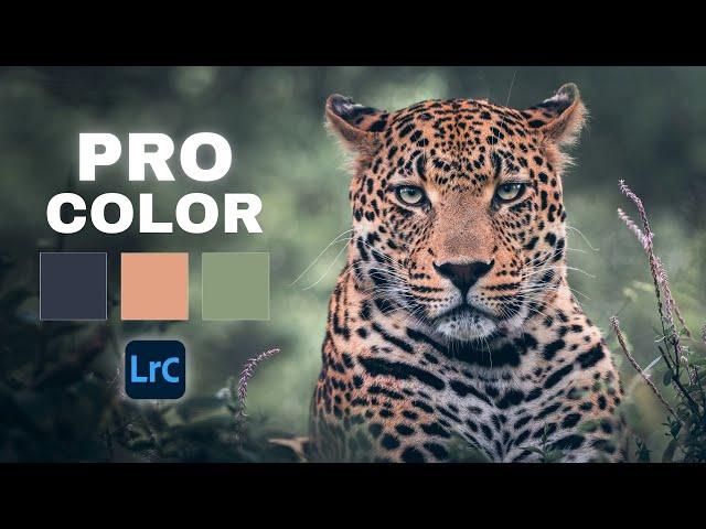 DON’T IGNORE The POWER Of Lightroom POINT COLOR