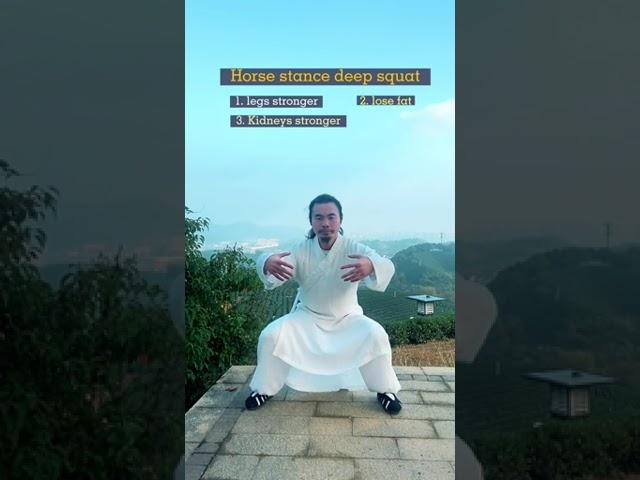 This is an essential exercise every morning  #taichi #wudang #health #chineseculture #horsestance #l