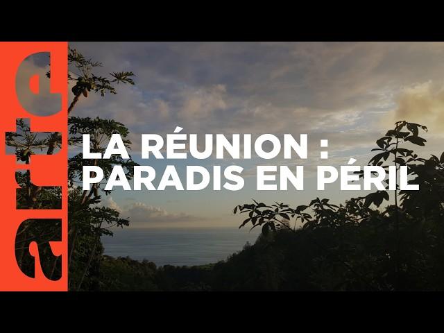 Laboratoire de l'évolution | L'île de La Réunion | ARTE