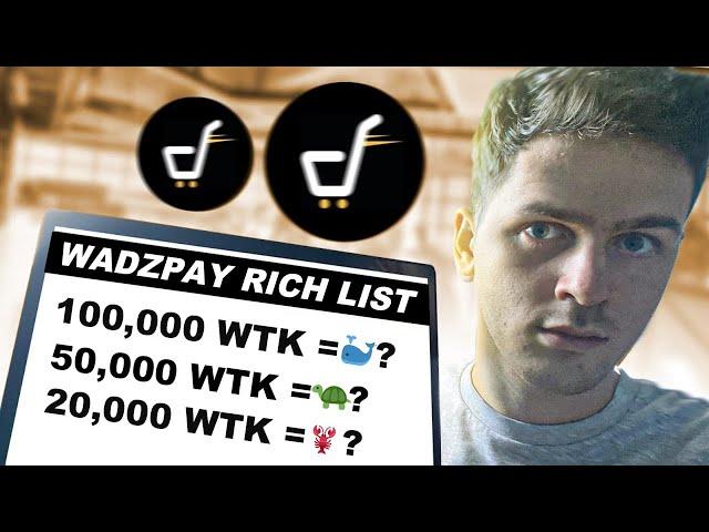 Where Do You Rank On WadzPay (WTK) Rich List? 