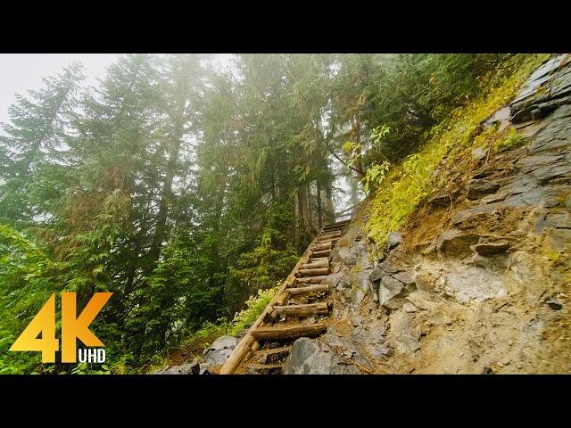 4K Virtual Walk through Beautiful Mountain Forest - Fascinating Comet Falls, Mt. Rainier Area