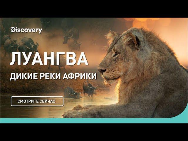 Луангва | Дикие реки Африки | Discovery