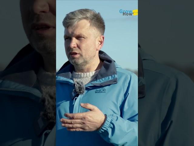 Вирощувати сою з добривами чи без?