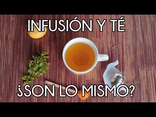 Diferencias entre infusión y té | un té con Daniela