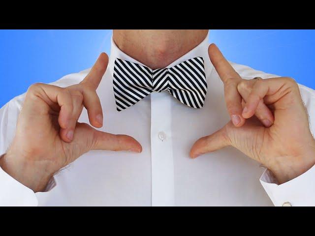 How to Tie a Bow Tie (Self Tie Bow Tie Knot) - How to Tie a Tie Easy Tutorial