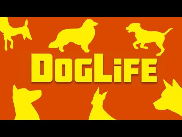 DogLife Gameplay!