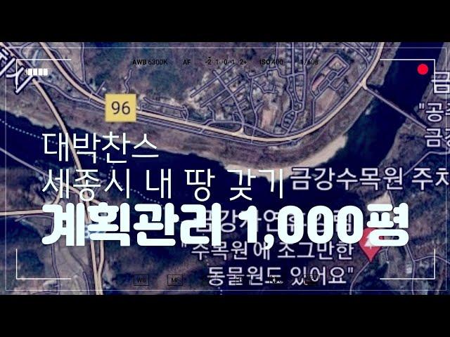 대박 찬스 장군면 금암리 1,000평