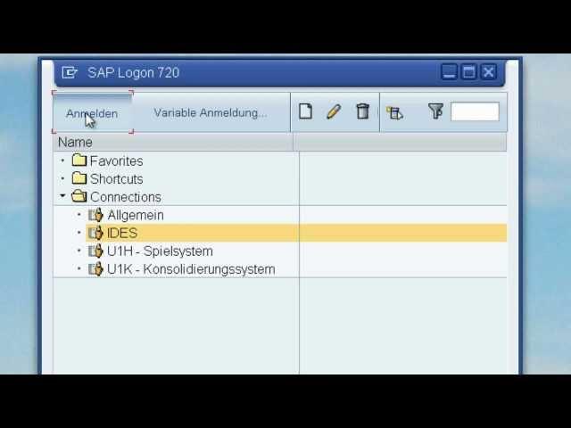 1. Navigation in SAP ERP - Grundlagen