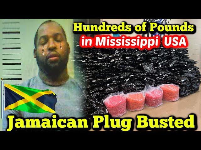 Jamaican Plug Caught in Mississippi USA with Hundreds of Pounds