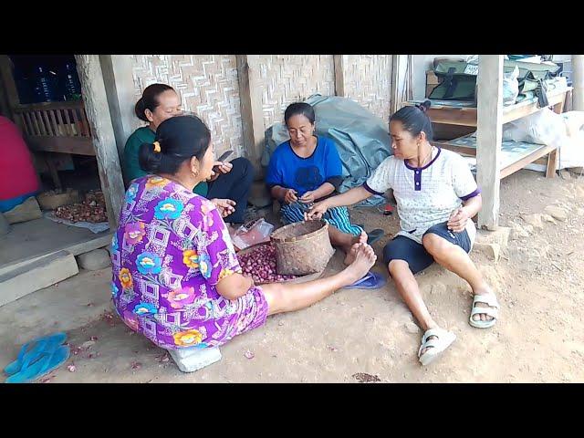 suasana pagi di H MIN 2, menjelang hajatan
