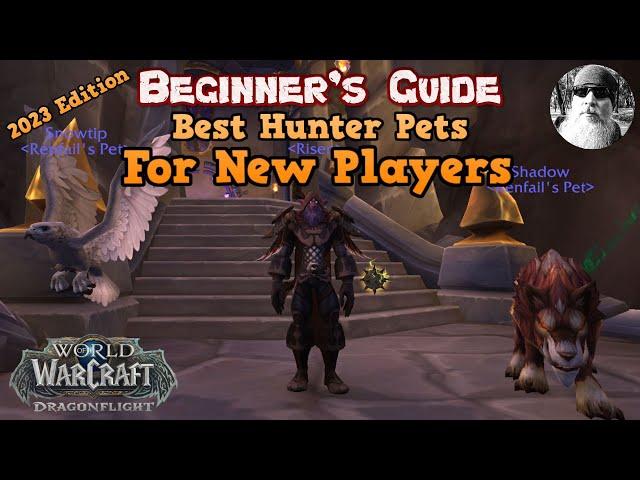 The Ultimate Beginner's Guide to the Best Hunter Pets for New Players in World of Warcraft in 2023