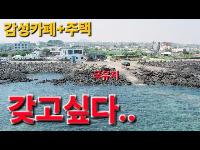 갖고싶은 제주도 바닷가 상가주택.