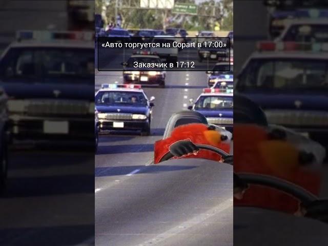 Как заказать авто из США на Copart и IAAI