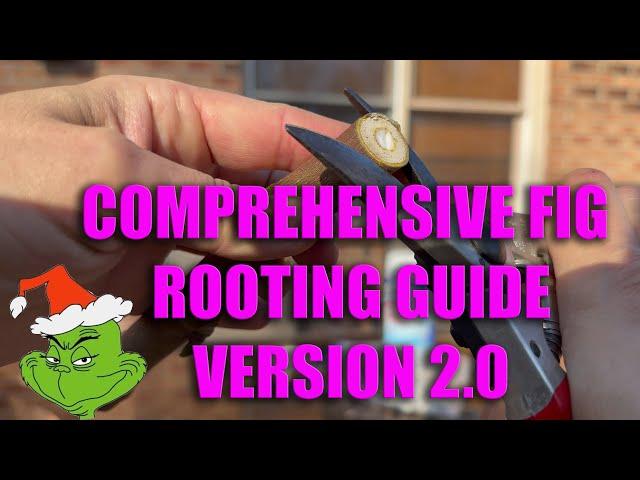 VERSION 2.0: 2023 COMPREHENSIVE GUIDE TO ROOTING FIG CUTTINGS