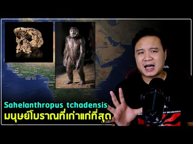 มนุษย์โบราณที่เก่าแก่ที่สุด 7 ล้านปีก่อน Sahelanthropus tchadensis (Toumai)