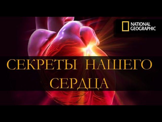 Секреты нашего сердца. National Geographic (HD)