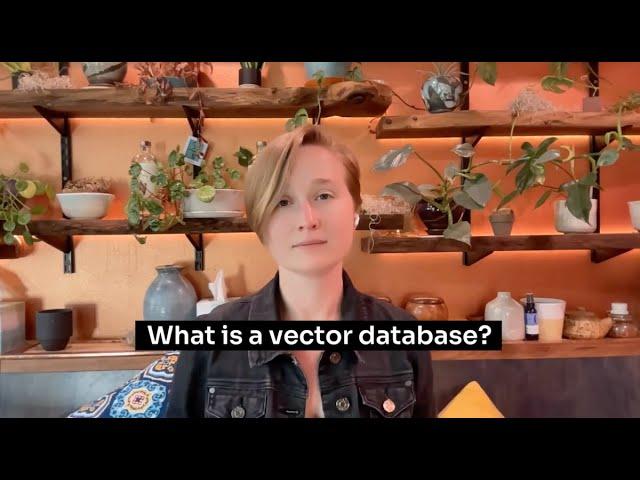 What is a Vector Database? DataStax Explainer Video