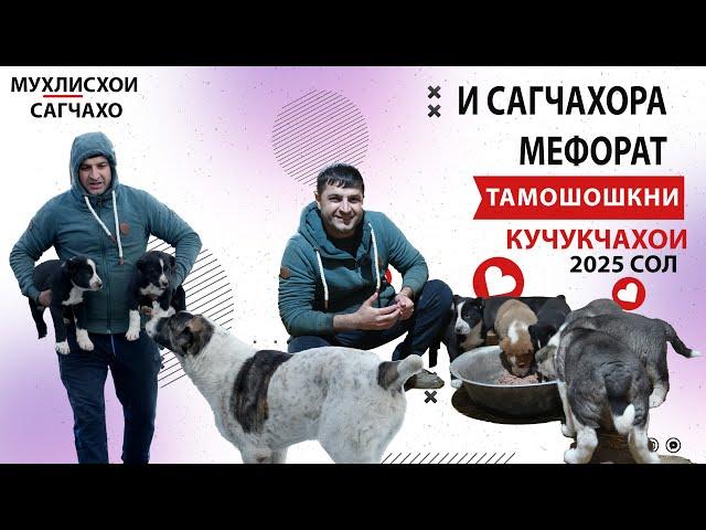 САГОИ БАЧОИИ НОМРИ 1 ДАР ТОЧИКИСТОН