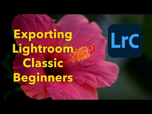 Exporting For Lightroom Classic for beginners