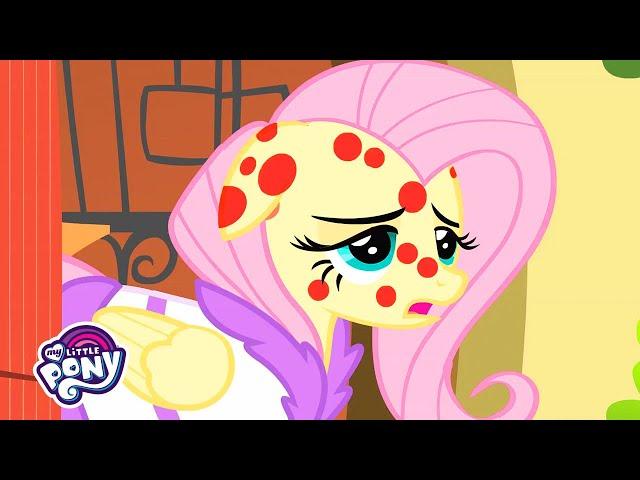 Hurricane Fluttershy | Friendship is Magic | MLP: FiM