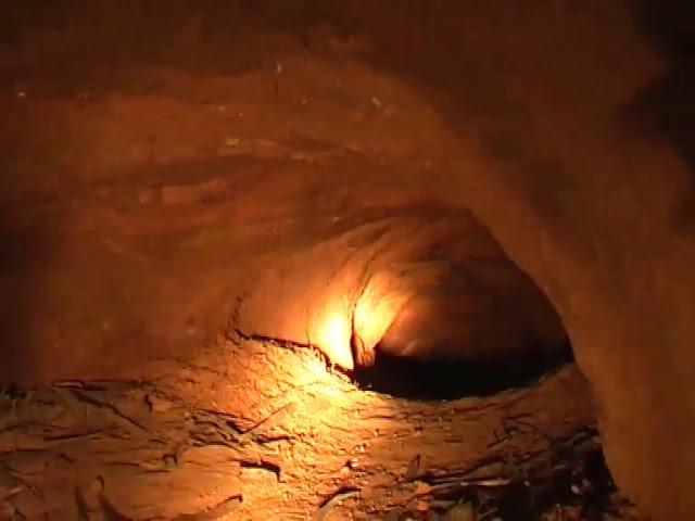 Underground wombat nest at Jarake Wildlife Sanctuary