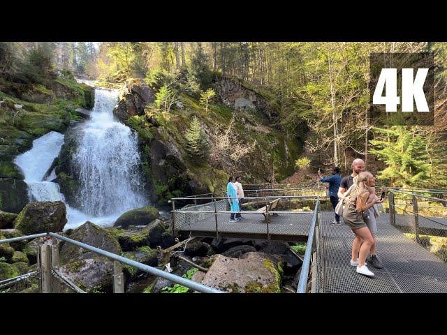 Trip to Triberg Waterfall - Black Forest - Germany's highest waterfalls