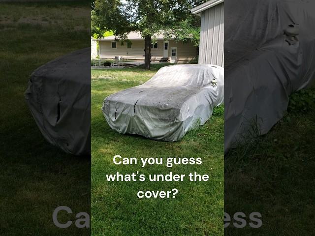 What's Under The Cover? Part 1 #shorts