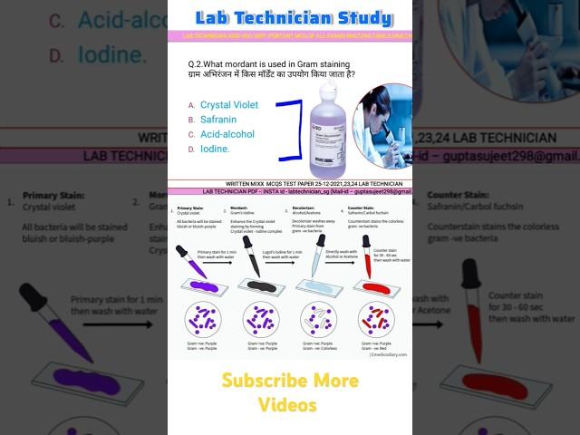 Gram Staining #shortvideo #lab #labtechnician