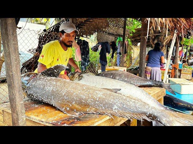 Amazing! Giant Fish Butchered in a Bustling Fish Market