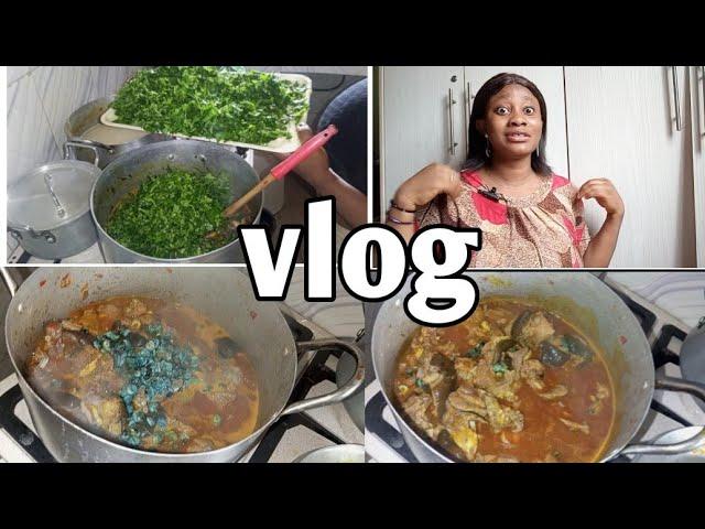 MAKING MY FAMILY FAVORITE SOUP + HOW MUCH CONSISTENCY PAID ME ON YOUTUBE/ NIGERIA YOUTUBER