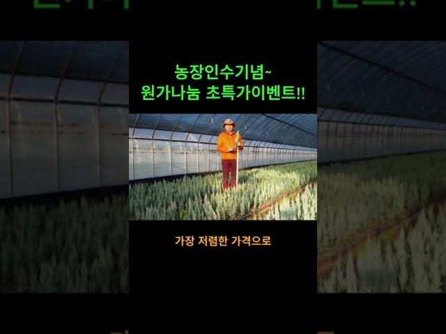 농장인수기념 원가나눔 초특가이벤트(한정수량) 2,800원부터~가격실화?? #plants #garden #2025년 #gardening #agriculture #farming