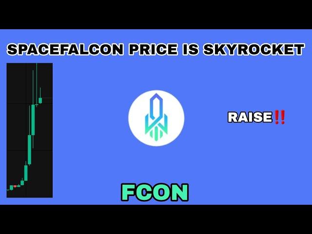 FCON COIN PRICE IS SKYROCKET UPDATE IN 2024‼️ SPACEFALCON RAISE TODAY‼️ GOOD OPPORTUNITY FOR FCON