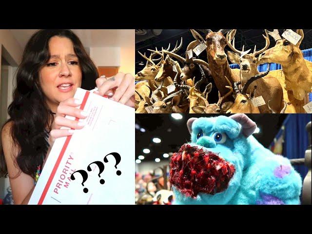 The Oddities & Curiosities Expo! SO Much TAXIDERMY!!! + Opening a Creepy Oddities Mystery Box!!