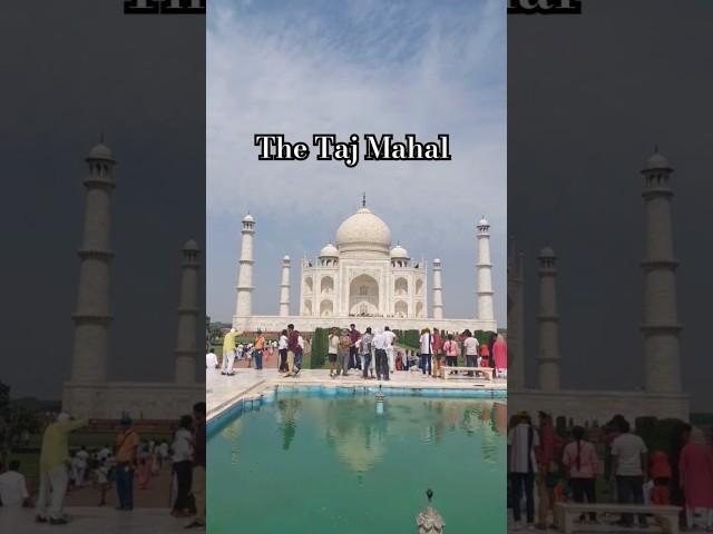 Have u seen Taj Mahal?#shorts #agra #tajmahal #india #delhi #subscribe