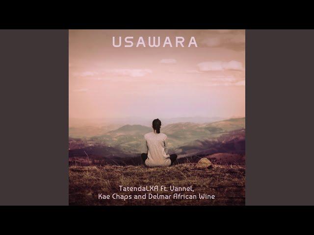 Usawara (feat. Vannel, Kae Chaps & African Wine)