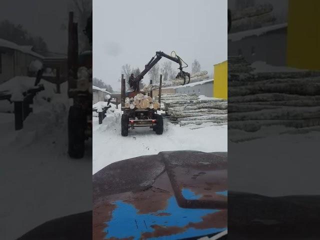 Урал Лесовоз Разгрузка Берёзы
