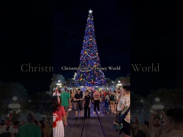 My favorite time of year! ️ #disney #disneychristmas #disneyblog #disneyworld #disneyparks