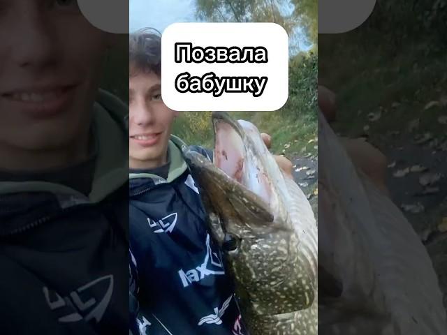 ПОЙМАЛ КРОКОДИЛА  #рыбалка #fishing #щука #рекомендации #music