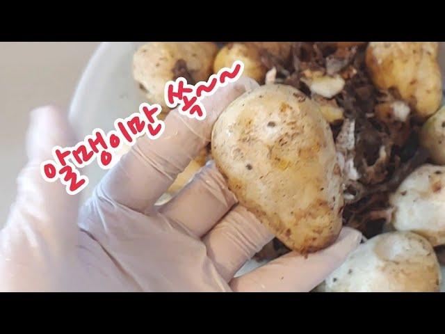 토란 껍질만 깔끔하게 벗기는 방법/토란껍질까는방법