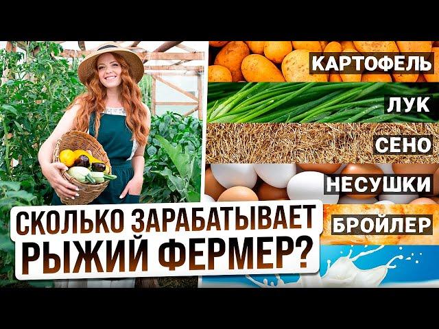 САМЫЕ ПРИБЫЛЬНЫЕ ВИДЫ ЗАРАБОТКА НА ФЕРМЕ В ГЛУХОЙ ДЕРЕВНЕ