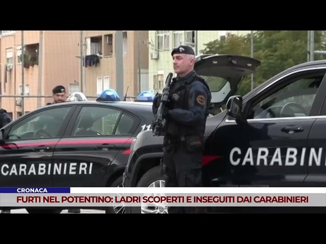 CRONACA. FURTI NEL POTENTINO: LADRI SCOPERTI E INSEGUITI DAI CARABINIERI