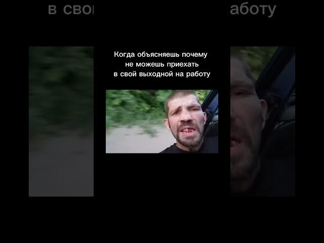 #юмор #работа